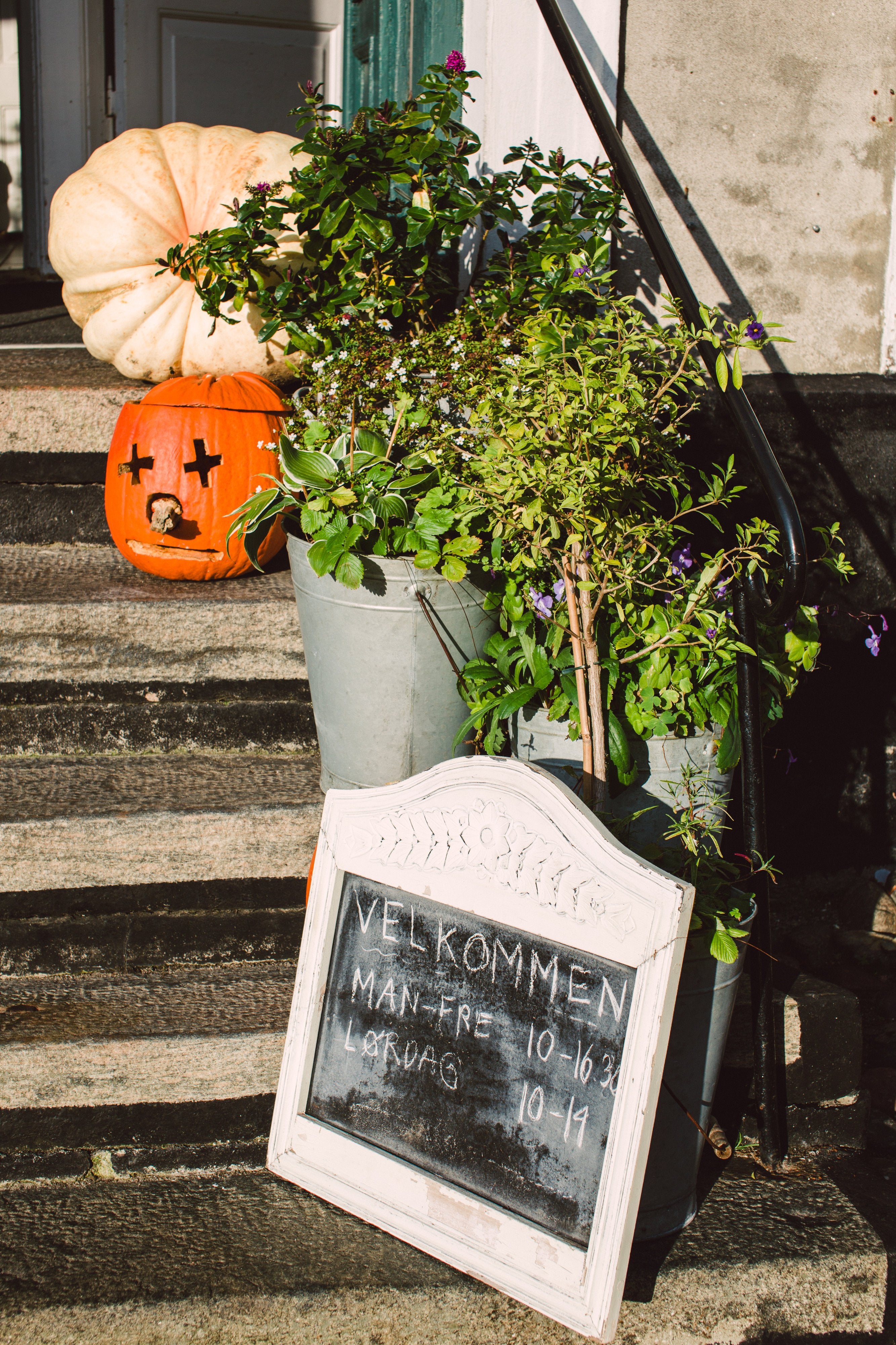We love Autumn!