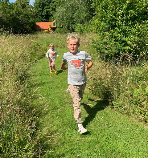 Ærø T-Shirt - Grå m/reje