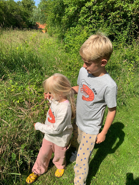 Ærø T-Shirt - Grå m/reje