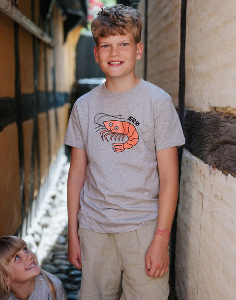 Ærø T-Shirt - Grå m/reje